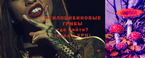 твердый Арсеньев