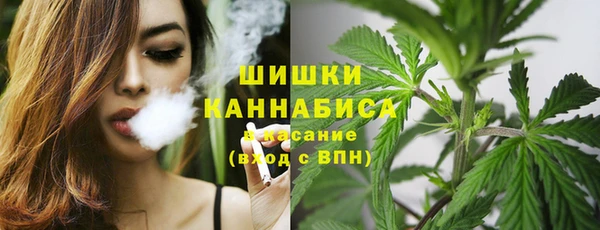 хмурый Балабаново